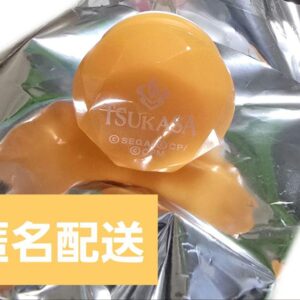 Project Seka Tenmaji Ring Light Sekarai 4Th F/S-M501 from japan Rare  Good condi