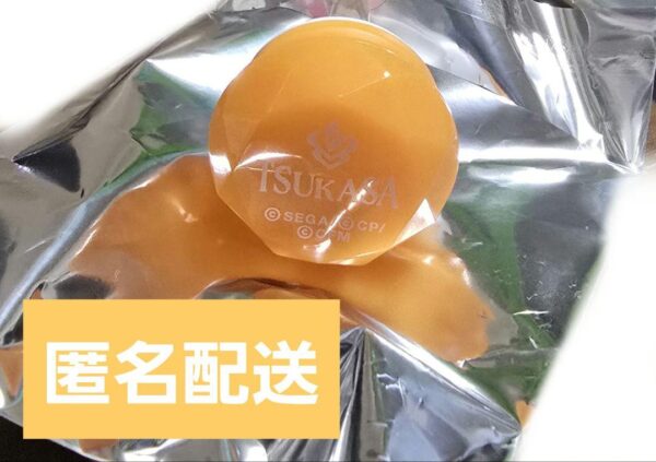 Project Seka Tenmaji Ring Light Sekarai 4Th F/S-M501 from japan Rare  Good condi