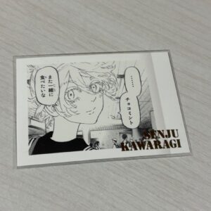 Kawarajo Chime Toribe Exhibition Pashakore F/S-M501 from japan Rare  Good condit