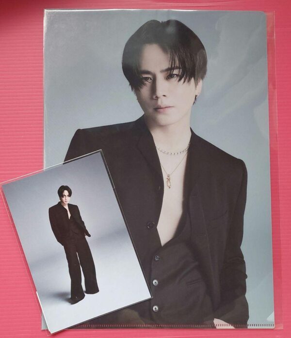 Tosaka Hiroomi Clear File Postcard F/S-M501 from japan Rare  Good condition