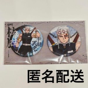 Demon Slayer: Kimetsu No Yaiba Pillar Exhibition Key Visual Can Badge Set Uzui T