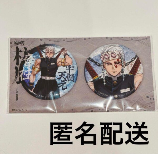 Demon Slayer: Kimetsu No Yaiba Pillar Exhibition Key Visual Can Badge Set Uzui T