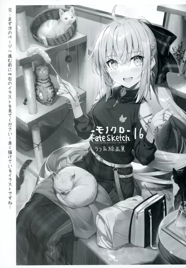 General Doujinshi For Men Yorozu Monochrome Fate Sketch 16 / Gamiran Debuneko F/
